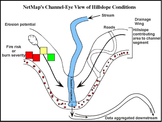 netmap example